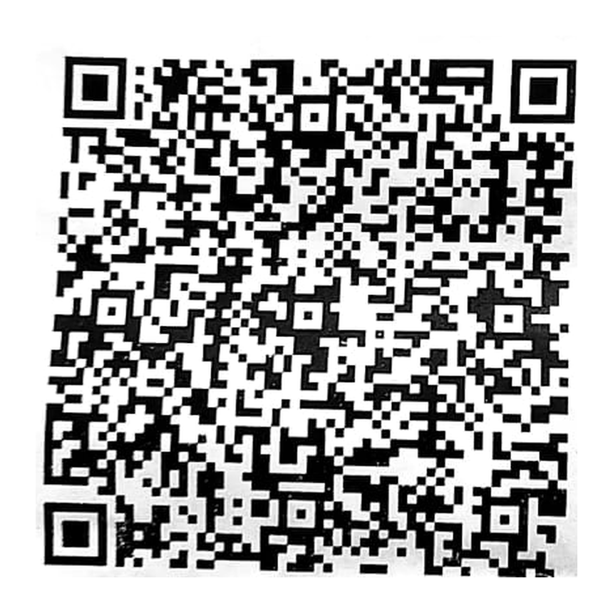 UPI QR code for donations to Maa Dulari Devi Sewa Sansthan Trust